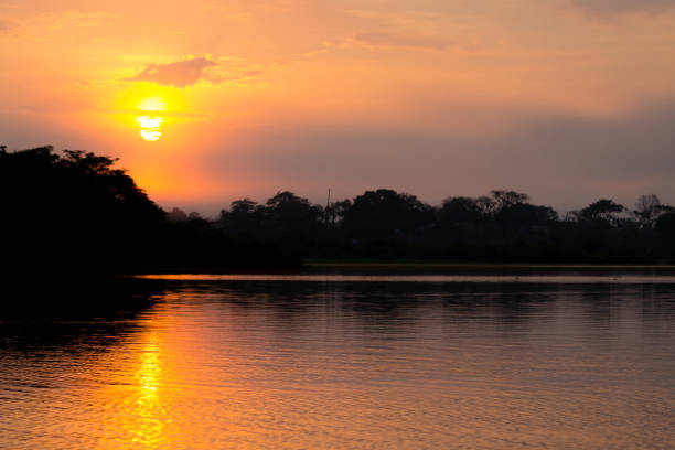 istock Panorama from Amazon rainforest, Brazilian wetland region. 694897456