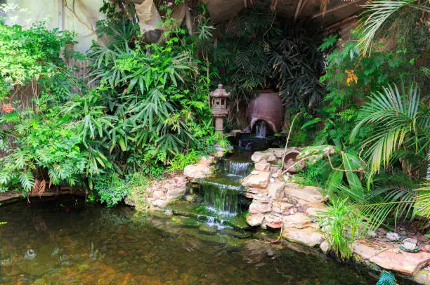 Photo of Small waterfall in decorative pond