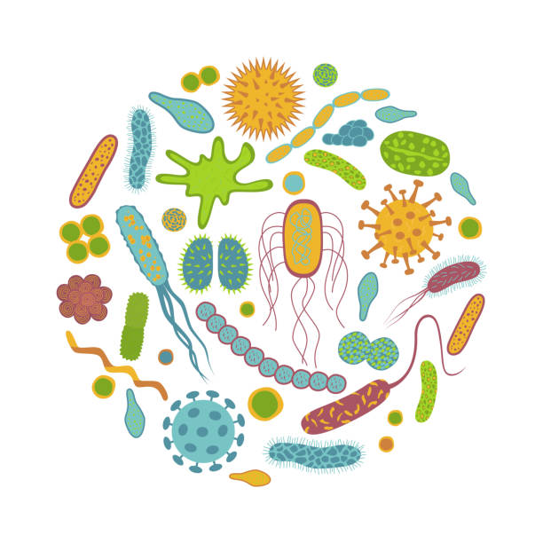 Germs and bacteria  icons  isolated on white background. Germs and bacteria  icons  isolated on white background. Microbiome  in  flat cartoon style.  Round design  vector  illustration of  microorganisms. micro organism stock illustrations