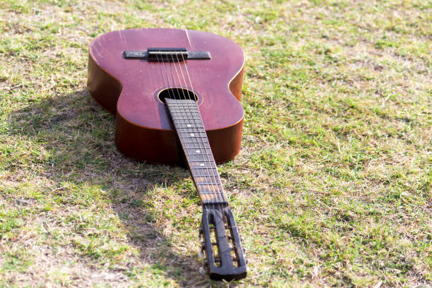 istock Guitar lying on the grass on the nature 694908824