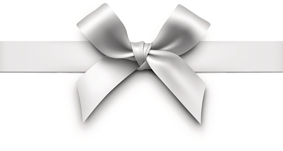 Silver gift bow with ribbon. Vector Illustration of decorative bow.