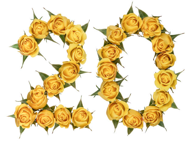 Cтоковое фото Арабская цифра 20, двадцать, из желтых цветов розы, изолированных на белом фоне