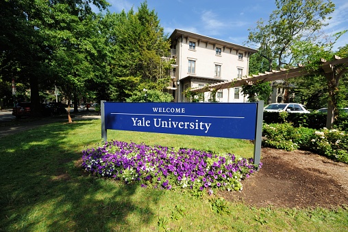 New Haven, Connecticut, USA - July 25, 2016: Welcome to Yale University sign located along Trumbull Street in New Haven, Connecticut. Photograph taken with purple flowers blooming under sign.