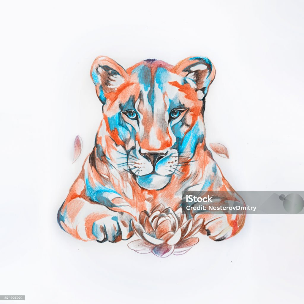 Sketch of lion in the style watercolors on white background. Sketch of a lion in the style of watercolors on white background. Lion - Feline stock illustration