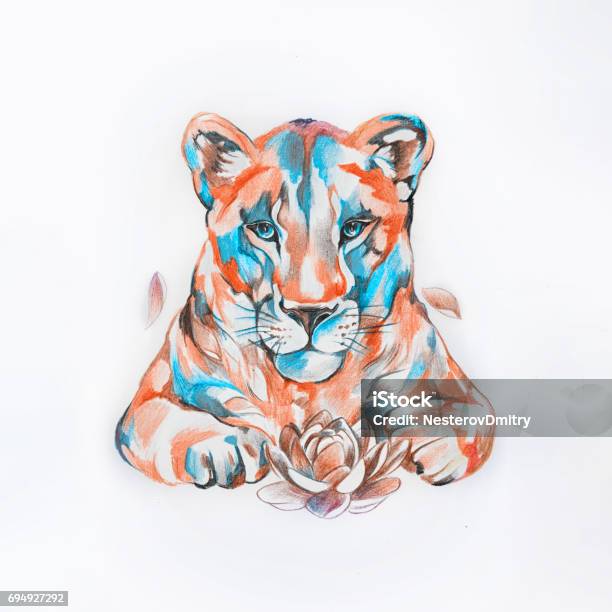 Sketch Of Lion In The Style Watercolors On White Background Stock Illustration - Download Image Now