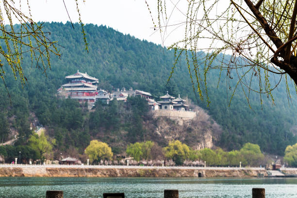 istock tree and blurred East Hill of Longmen Grottoes 694927834