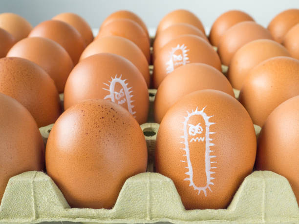 bactéria salmonella desenhada sobre o conceito de ovos de galinha - intoxicação de substâncias - fotografias e filmes do acervo