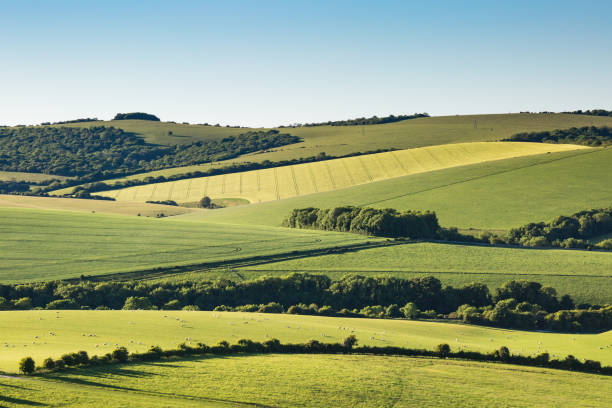 istock Idyllic Sussex Landscape 694931408