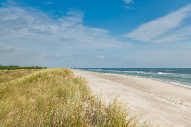 Beach at the northern zealand in Denmark