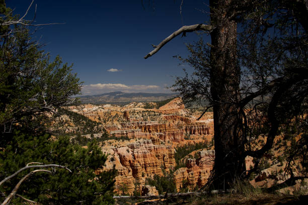 istock Fairyland Canyon Overlook J 694934698
