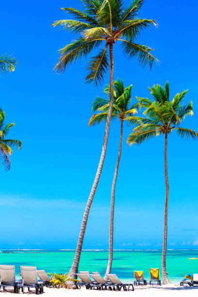 istock Beautiful beach from Barcelo hotel, Punta Cana 694937552