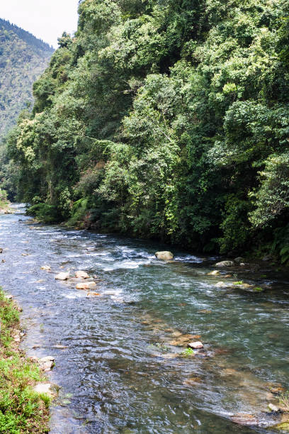 istock little river in Longsheng Hot Springs Park 694940848