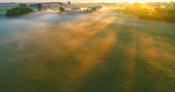 istock Sunbeams through ground fog in Springtime fields 694943908