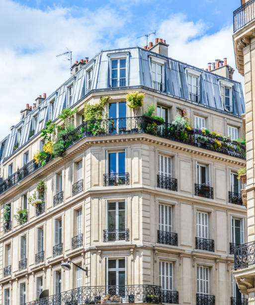 architektura paryża - art nouveau door paris france luxury zdjęcia i obrazy z banku zdjęć