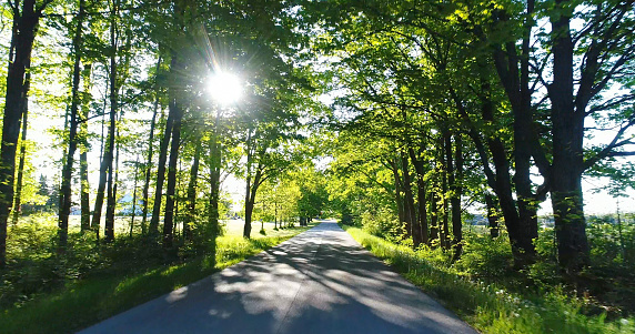 Idyllic country road in sunlight and shadow, sunbeams twinkling throught the trees.