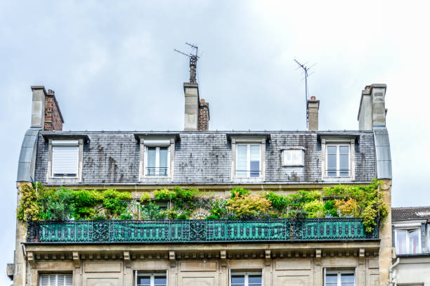 architektura paryża - art nouveau door paris france luxury zdjęcia i obrazy z banku zdjęć