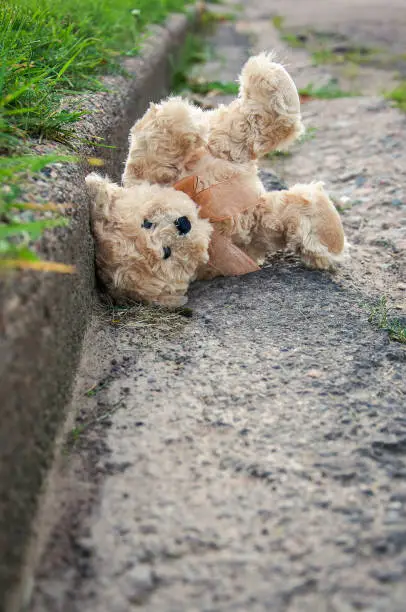a forgotten teddy bear on the side of the road