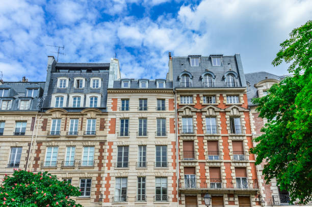 파리 건축양상 - art nouveau door paris france luxury 뉴스 사진 이미지