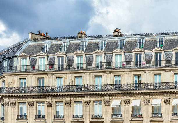 파리 건축양상 - art nouveau door paris france luxury 뉴스 사진 이미지