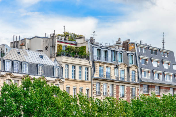 arquitectura de parís - art nouveau door paris france luxury fotografías e imágenes de stock