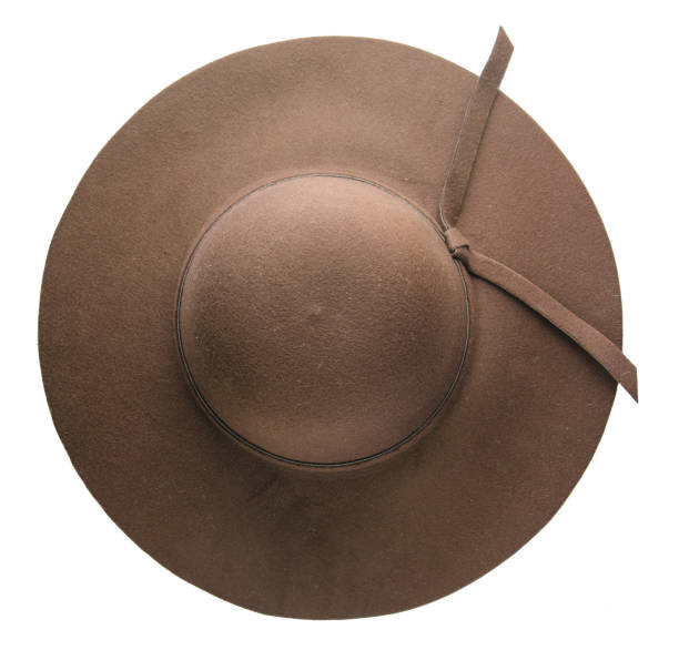 istock fedora hat. hat isolated on white background.brown hat 694947972