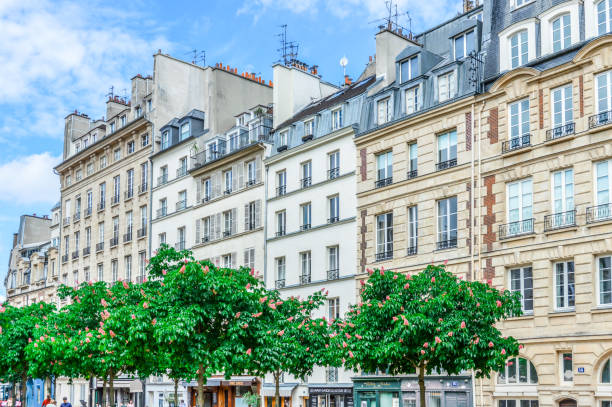 arquitectura de parís - art nouveau door paris france luxury fotografías e imágenes de stock