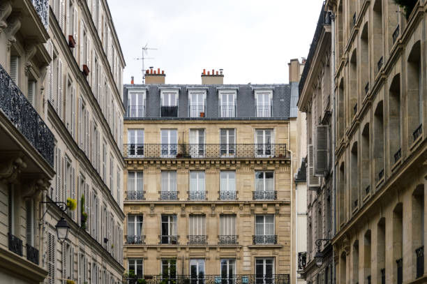 arquitectura de parís - art nouveau door paris france luxury fotografías e imágenes de stock