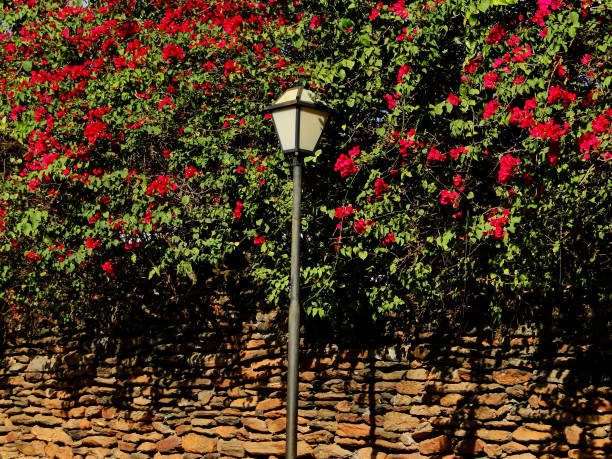 Walk in the village in summer day, blue sky