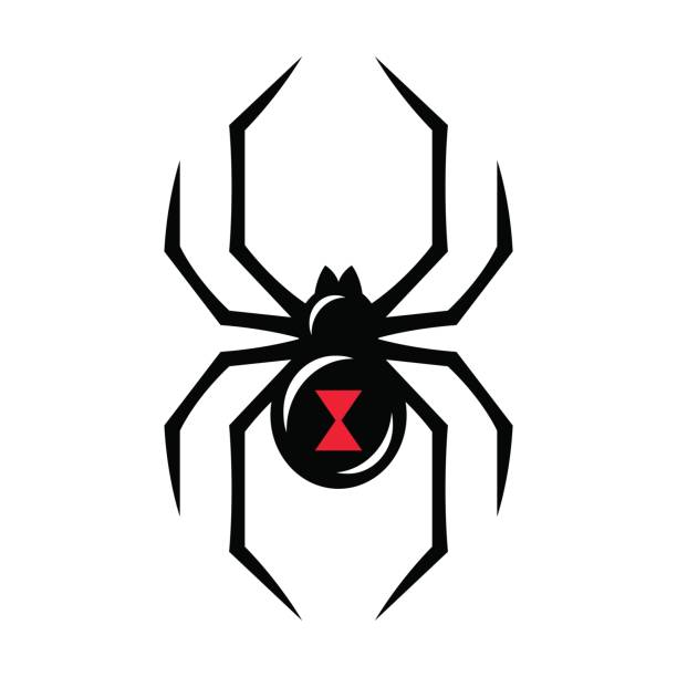 черная вдова значок паука - black widow spider stock illustrations