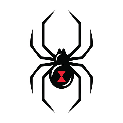 Black widow spider icon isolated on white background. Creepy spider vector illustration