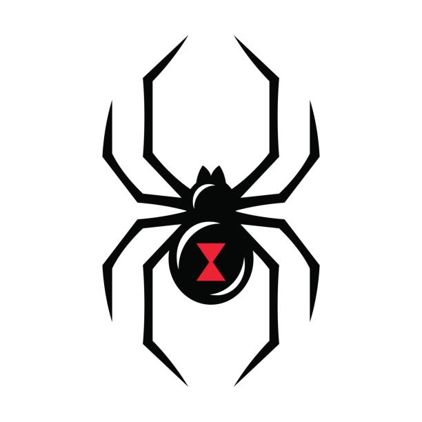 Black widow spider icon Black widow spider icon isolated on white background. Creepy spider vector illustration venom symbol stock illustrations