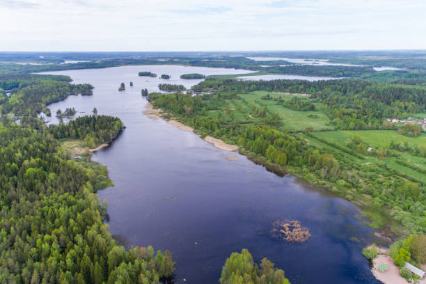 istock Aerial view of a forest lake 694963404