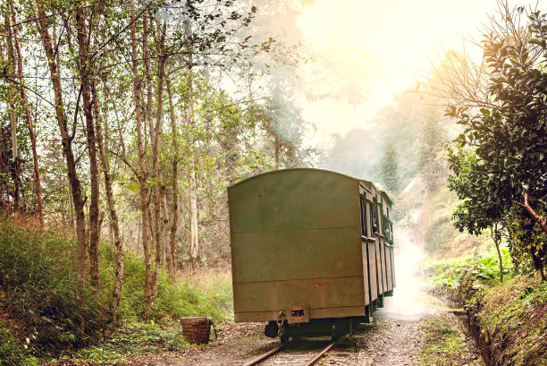 istock Steam narrow-gauge train 694968344