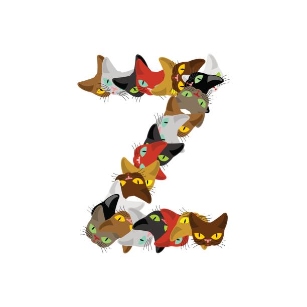 Letter Z Cat Font Pet Alphabet Symbol Home Animal Abc Sign Stock