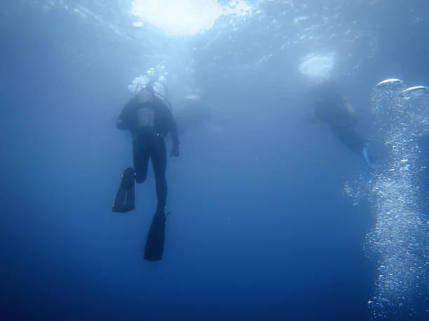 istock Group of divers Underwater background. 694971658