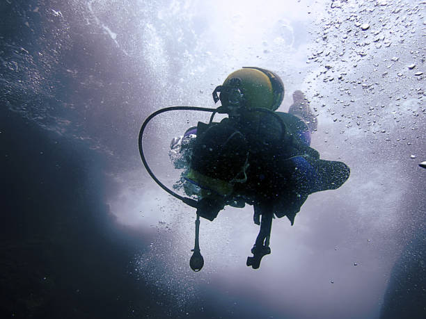 istock Scuba Diver underwater silhouettes against sun 694977104