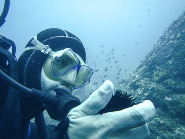 istock Sea urchin on the hand of diver underwater 694980598