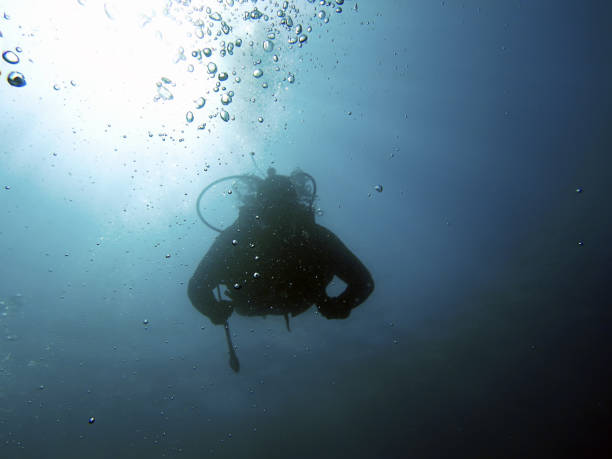 istock Scuba Diver underwater silhouettes against sun 694982660