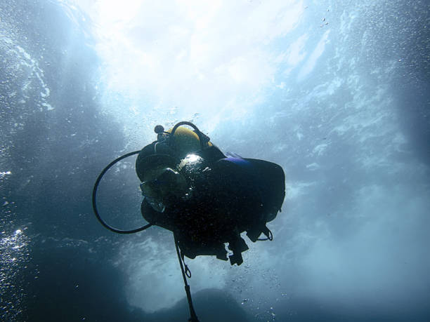 istock Scuba Diver underwater silhouettes against sun 694982704