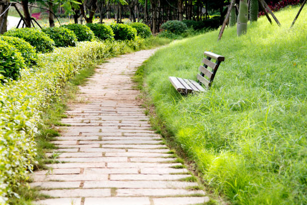 Stone winding walkway in garden