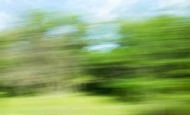 istock Nature in motion from the train window 694997696