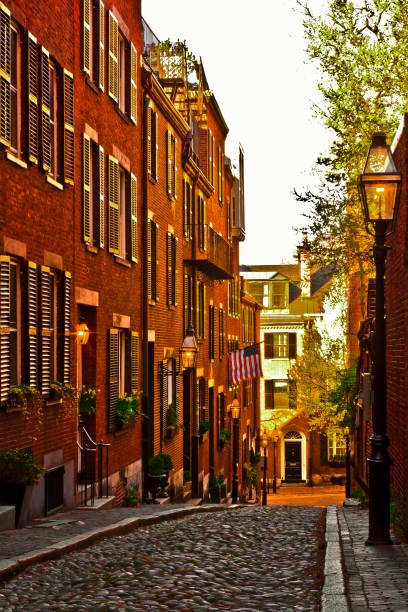istock Acorn Street 695004226