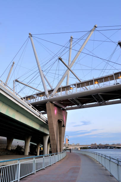 istock Kurilpa Bridge of Brisbane 695009476