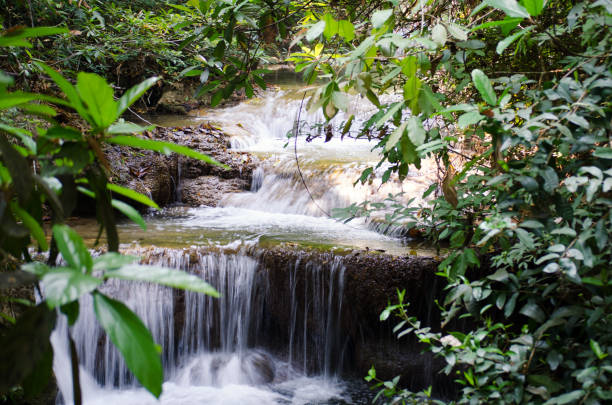 eravan cascade - erawan national park beauty in nature waterfall photos et images de collection
