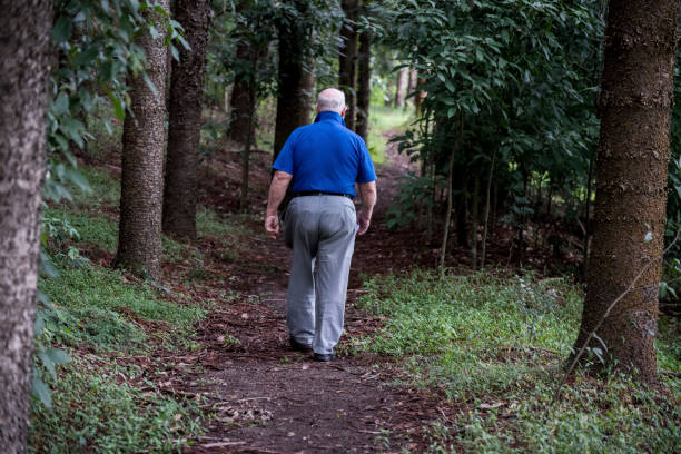 istock Senior male walks away from camera down a forest path. 695011500