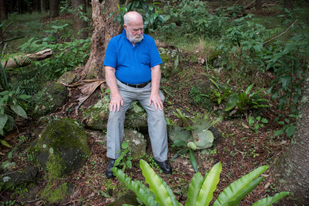 istock Older man takes a rest among tropical ferns. 695015470