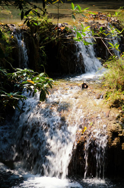 eravan cascade - erawan national park beauty in nature waterfall photos et images de collection