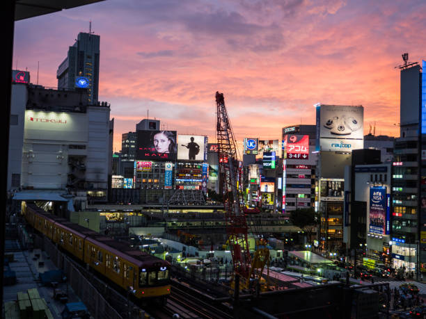istock Tokyo shibuya night view 695019792