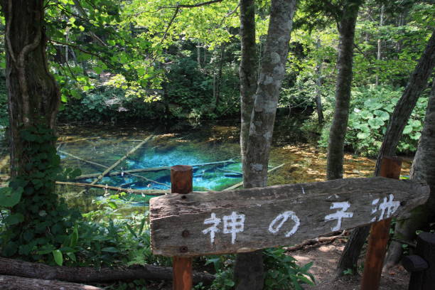 kaminoko étang à hokkaido - bench forest pond autumn photos et images de collection