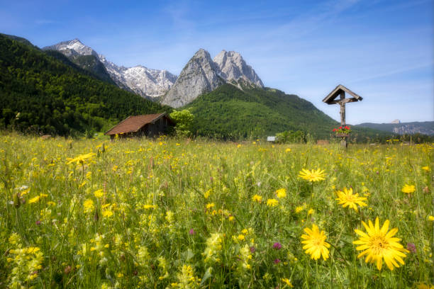 roadside shrine on flower meadow in front of zugspitze - garmisch partenkirchen - european alps mountain crucifix zugspitze mountain imagens e fotografias de stock